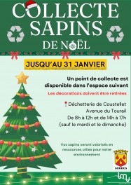 Votre sapin après les fêtes... 